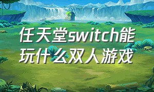 任天堂switch能玩什么双人游戏
