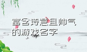 富含诗意且帅气的游戏名字