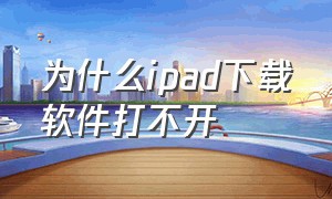 为什么ipad下载软件打不开