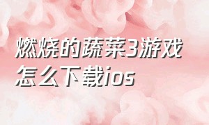 燃烧的蔬菜3游戏怎么下载ios