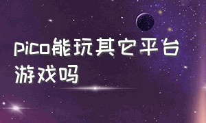 pico能玩其它平台游戏吗