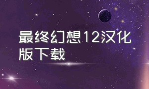 最终幻想12汉化版下载