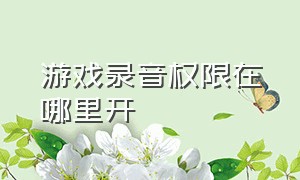 游戏录音权限在哪里开