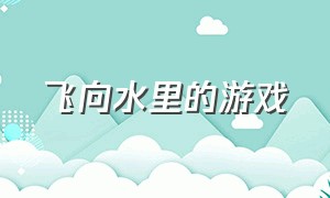 飞向水里的游戏