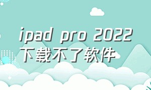 ipad pro 2022下载不了软件