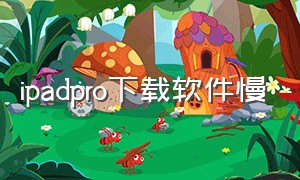 ipadpro下载软件慢