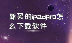 新买的ipadpro怎么下载软件（新买的ipad如何下载app）