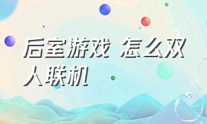 后室游戏 怎么双人联机