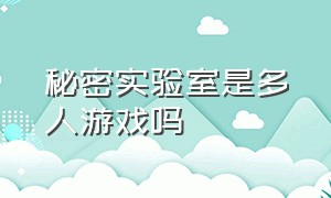 秘密实验室是多人游戏吗