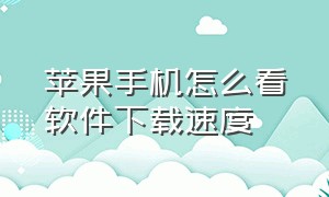 苹果手机怎么看软件下载速度