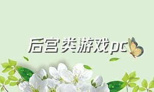 后宫类游戏pc（后宫类电脑单机游戏）