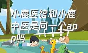 小鹿医馆和小鹿中医是同一个app吗