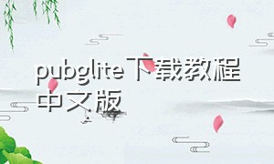 pubglite下载教程中文版