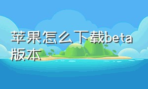 苹果怎么下载beta版本