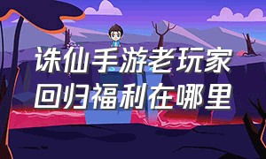 诛仙手游老玩家回归福利在哪里