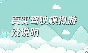 真实驾驶模拟游戏说明