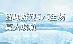 篮球游戏5v5全场真人联机