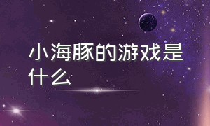 小海豚的游戏是什么