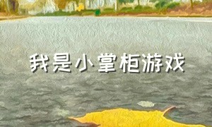 我是小掌柜游戏