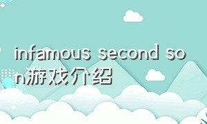 infamous second son游戏介绍