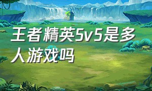 王者精英5v5是多人游戏吗