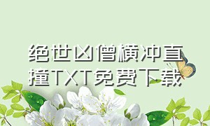 绝世凶僧横冲直撞TXT免费下载