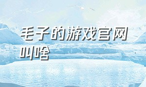 毛子的游戏官网叫啥