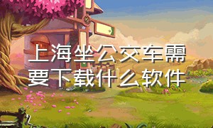 上海坐公交车需要下载什么软件