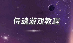 侍魂游戏教程（侍魂游戏最新版）