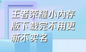 王者荣耀小内存版下载完不用更新不实名（王者荣耀精简版怎么从官网下载）