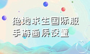 绝地求生国际服手游画质设置（绝地求生国际服画质如何调成端游）