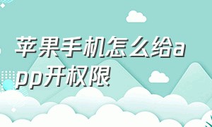 苹果手机怎么给app开权限