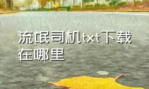 流氓司机txt下载在哪里