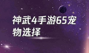 神武4手游65宠物选择