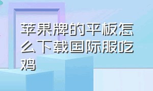 苹果牌的平板怎么下载国际服吃鸡（苹果平板怎么下载国际服和平精英）