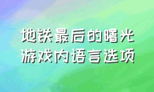 地铁最后的曙光游戏内语言选项