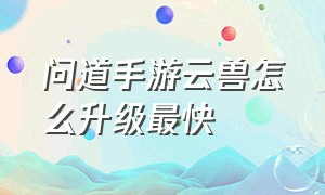 问道手游云兽怎么升级最快