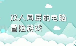 双人同屏的电脑冒险游戏