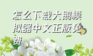 怎么下载大鹅模拟器中文正版免费