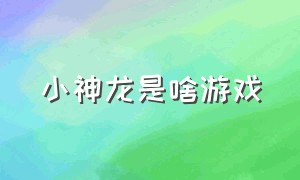 小神龙是啥游戏（小神龙游戏怎么打开）