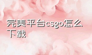 完美平台csgo怎么下载