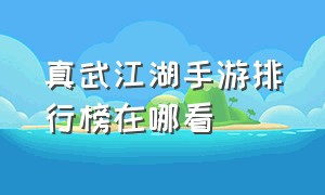 真武江湖手游排行榜在哪看