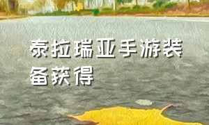 泰拉瑞亚手游装备获得（泰拉瑞亚手游官网）