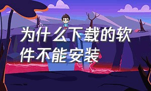 为什么下载的软件不能安装