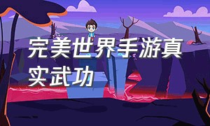 完美世界手游真实武功（完美世界手游身上怎么样有光）