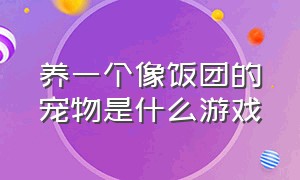 养一个像饭团的宠物是什么游戏（养一只电子鲨鱼是什么游戏）