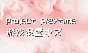 project playtime游戏设置中文