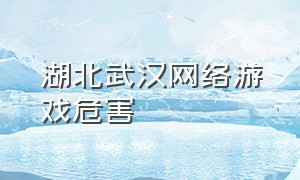 湖北武汉网络游戏危害