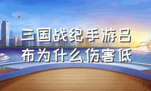 三国战纪手游吕布为什么伤害低（三国战纪手游吕布技能详解）