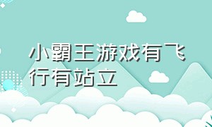 小霸王游戏有飞行有站立